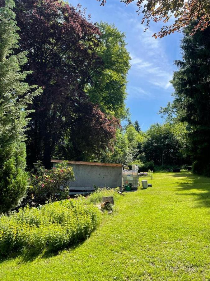 דירות Oelsnitz  Vogtlandperle מראה חיצוני תמונה