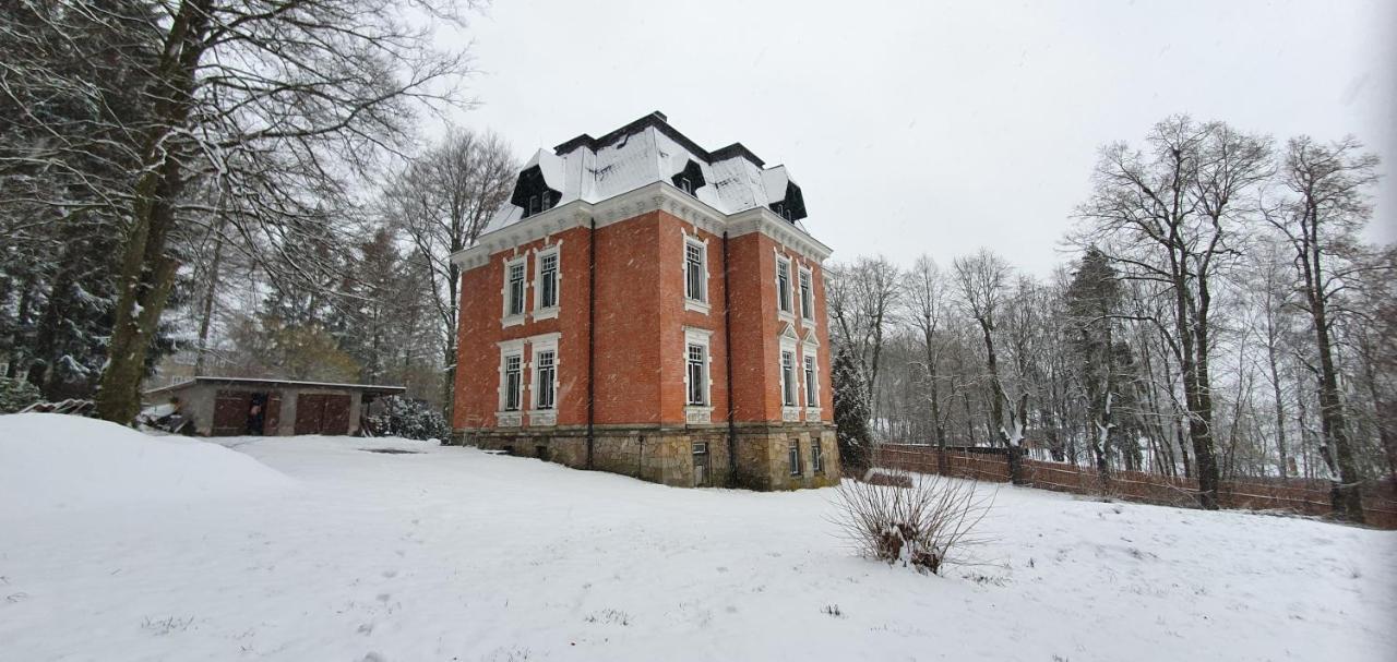 דירות Oelsnitz  Vogtlandperle מראה חיצוני תמונה